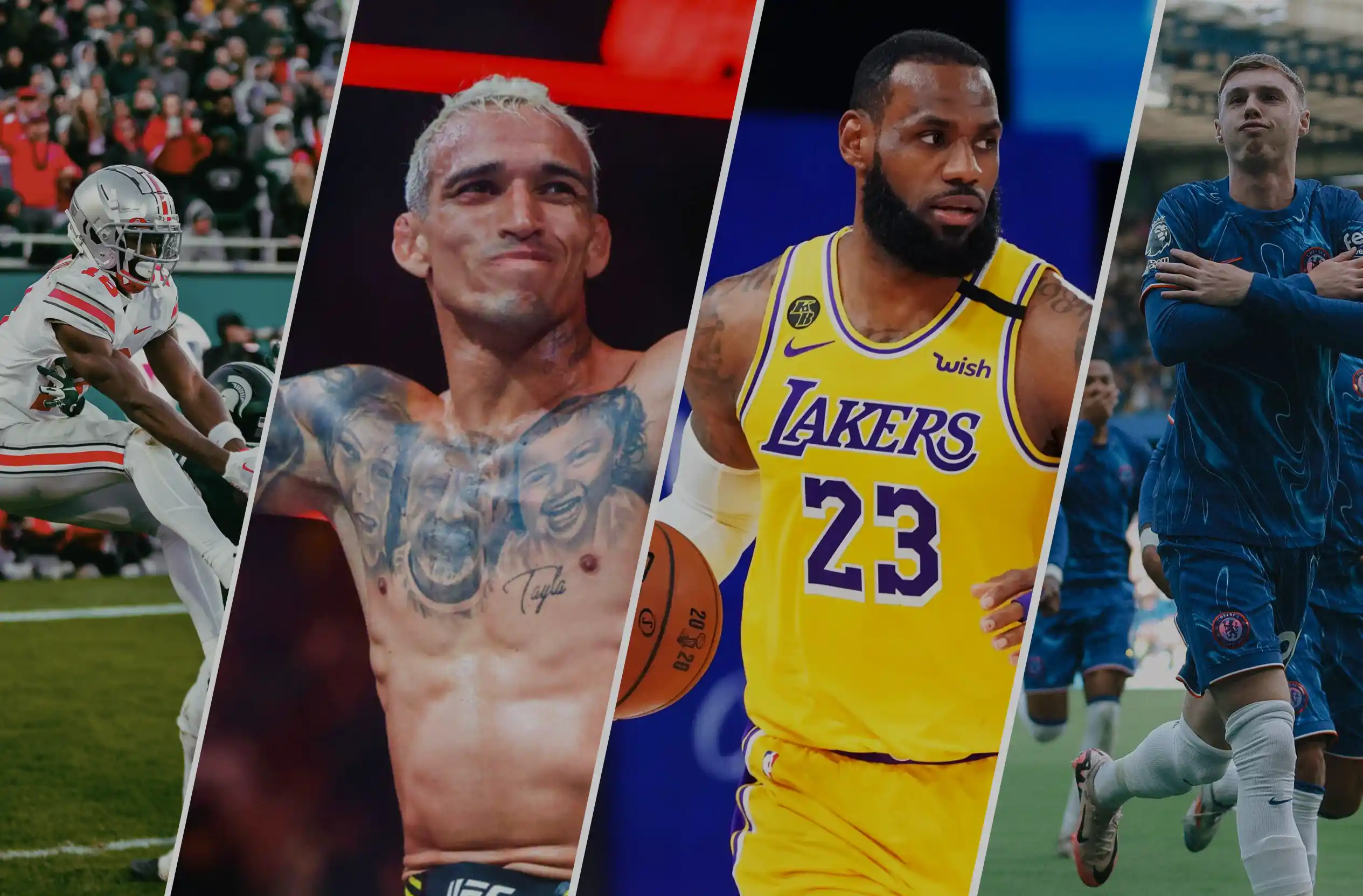 Bunny IPTV - Best IPTV for live sports and Premium IPTV